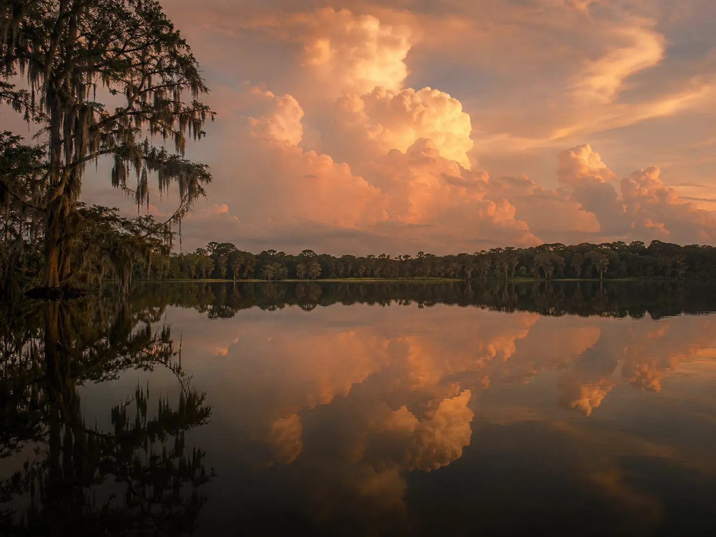 Restoration services in Leesburg FL